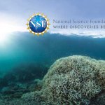 National Science Foundation awards Dorgan grant