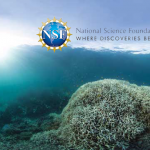 national science foundation