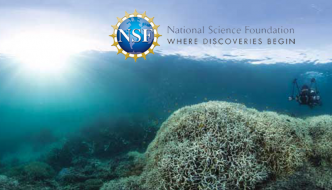 national science foundation