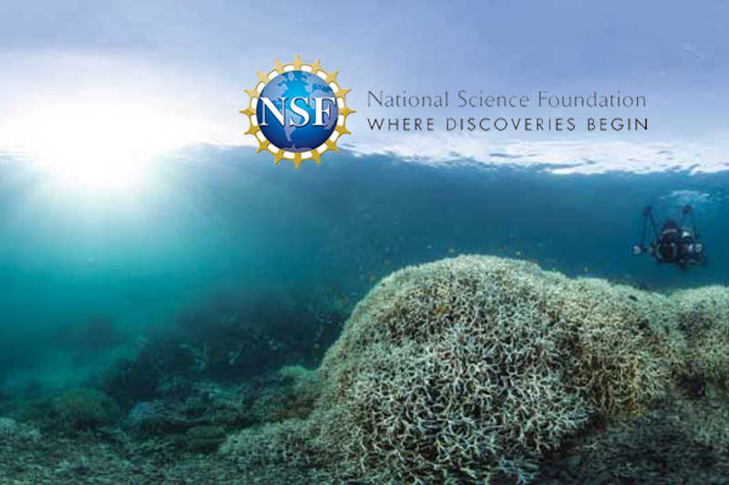 national science foundation